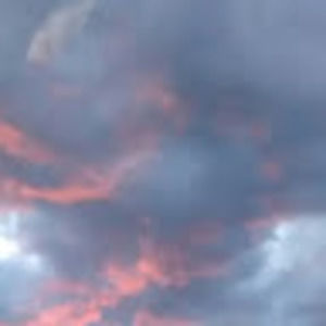 Meet your Posher, Brylee